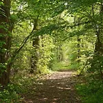 Stichting Innessence Stokershorst 宾馆 Nederweert-Eind